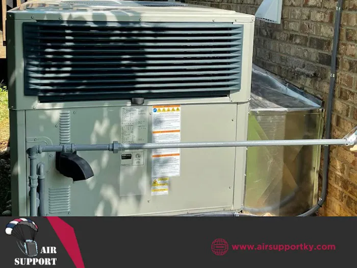 Air Support Picture 8