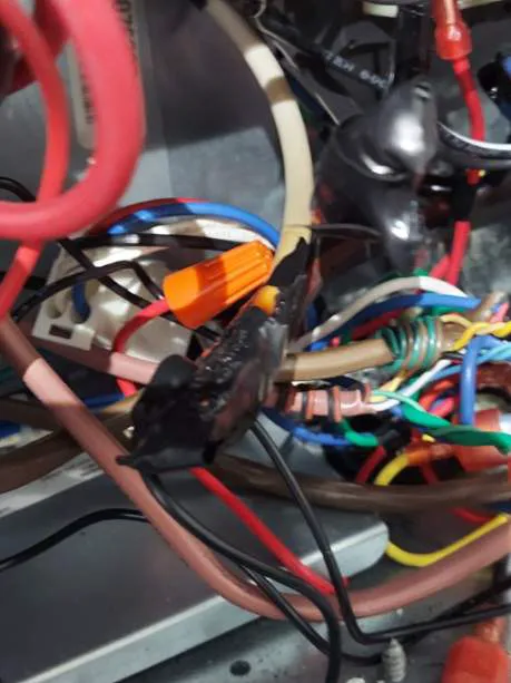 Chism Services LLC Picture 1