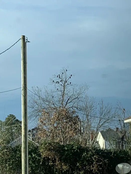 Heating & Air Conditioning Picture 1