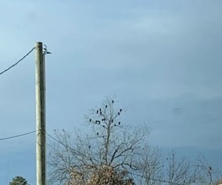 Heating & Air Conditioning