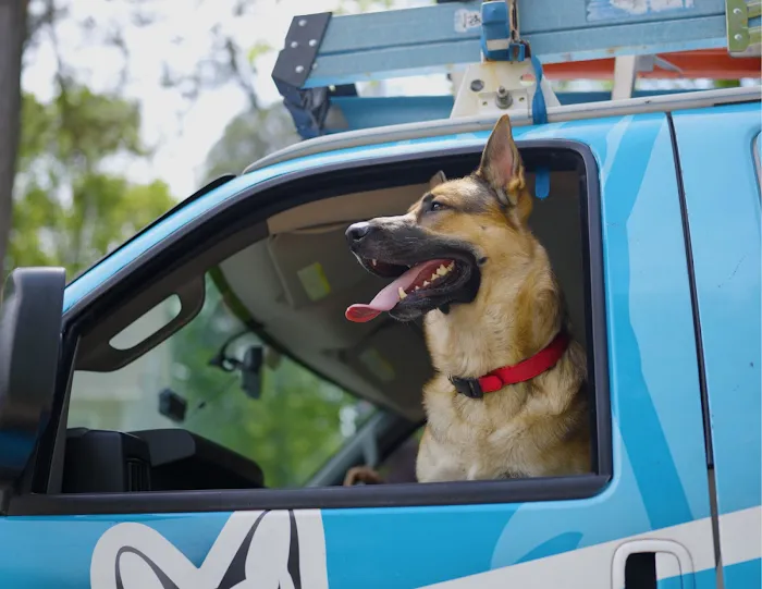 Woodfin - Your Home Team Picture 5