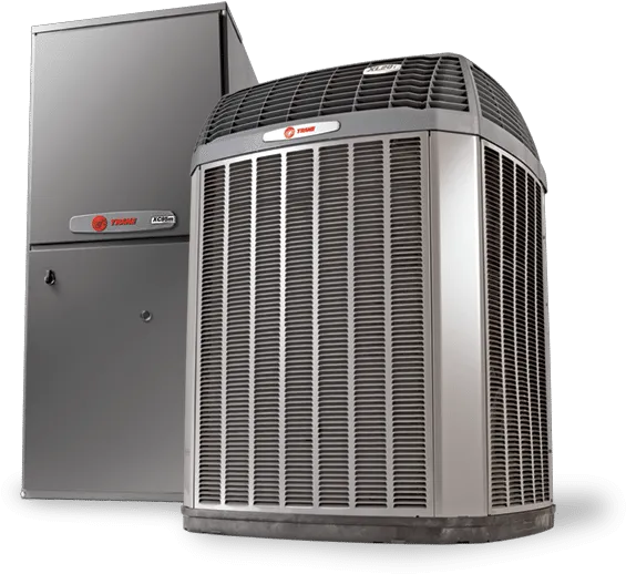 Shogun Services Picture 10