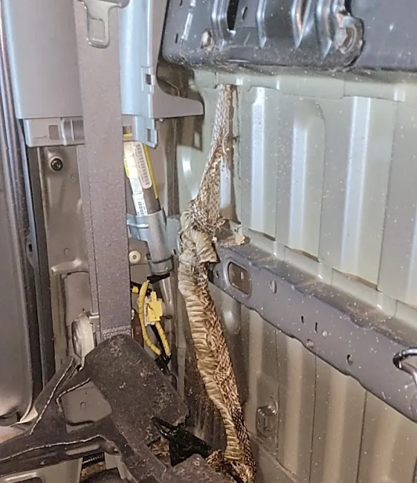 SERVPRO of Rockingham and Augusta Counties Picture 9