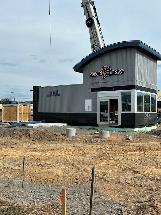 Valley Electric Picture 8