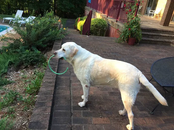 W.E. Brown, Inc Picture 4