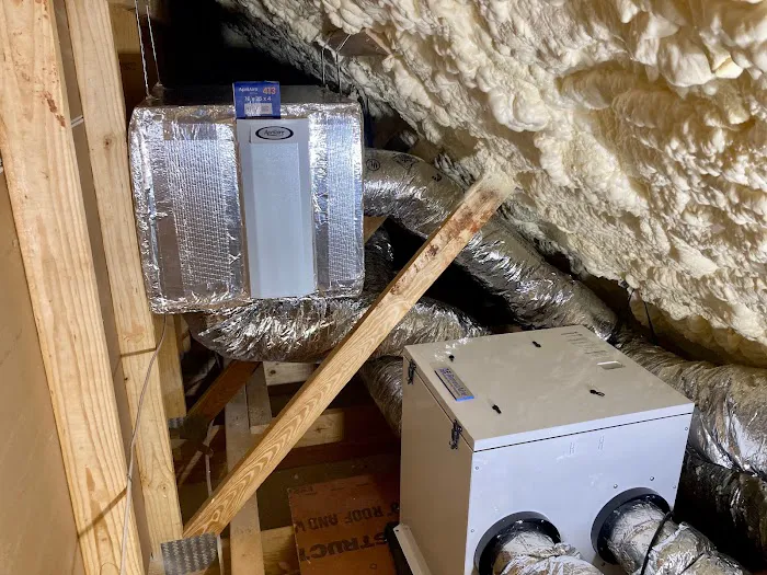 The Comfort Squad Picture 4