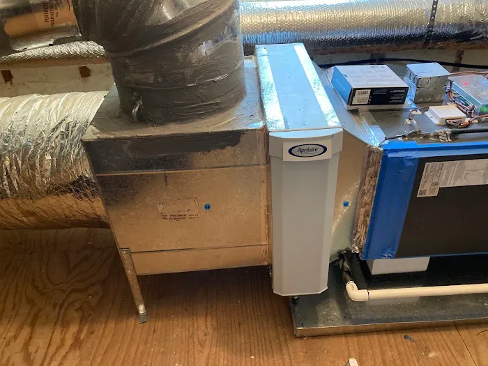 The Comfort Squad Picture 5