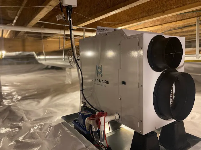 The Comfort Squad Picture 1