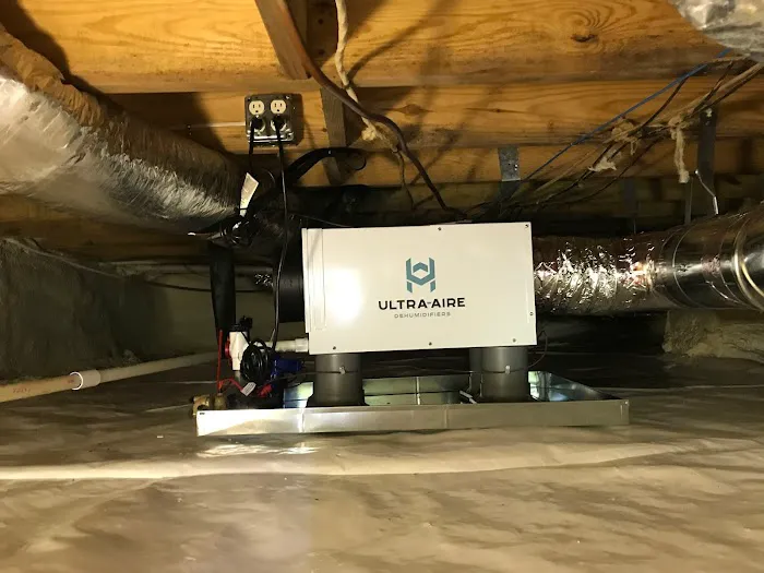 The Comfort Squad Picture 8