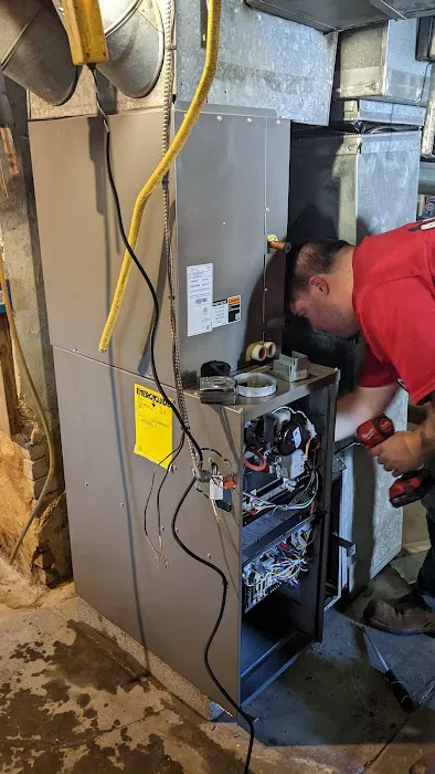 Beck Cohen Picture 3