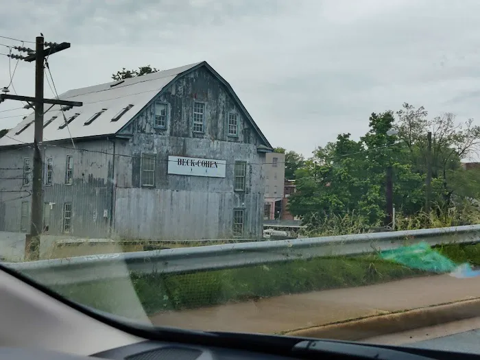 Beck Cohen Picture 10