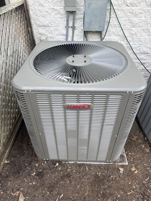 Beck Cohen Picture 9