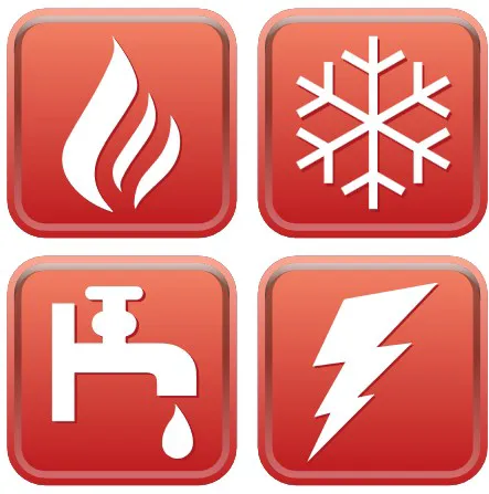 Fitch Services Picture 4