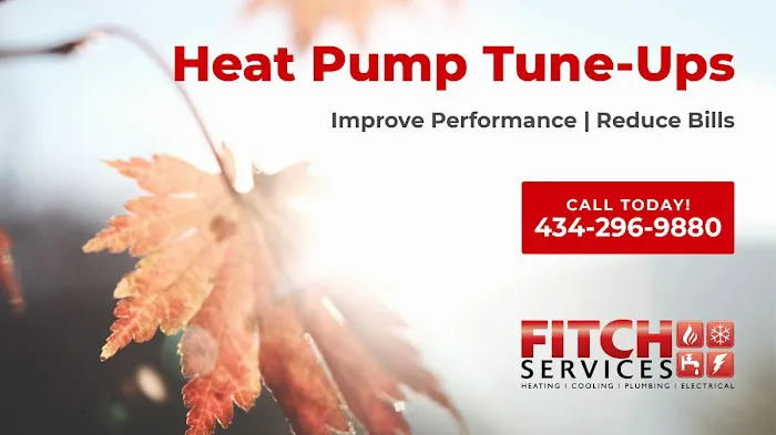 Fitch Services Picture 5