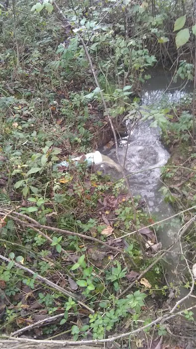 USA Service Picture 8