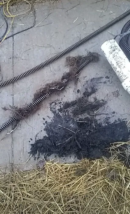 USA Service Picture 7