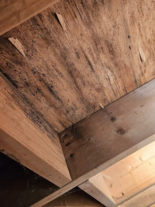 1st Capital Heating and Cooling Picture 1