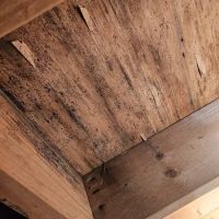 1st Capital Heating and Cooling ico