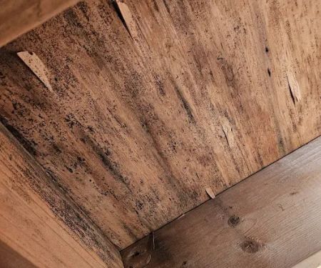 1st Capital Heating and Cooling