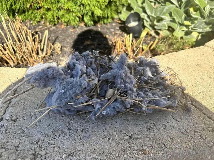 Bison Services Picture 2