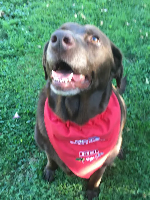 Motz Heating & Cooling, LLC. Picture 10