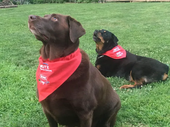 Motz Heating & Cooling, LLC. Picture 6