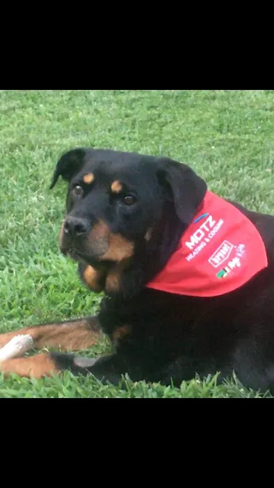 Motz Heating & Cooling, LLC. Picture 5