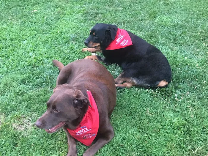 Motz Heating & Cooling, LLC. Picture 1