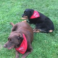 Motz Heating & Cooling, LLC. ico