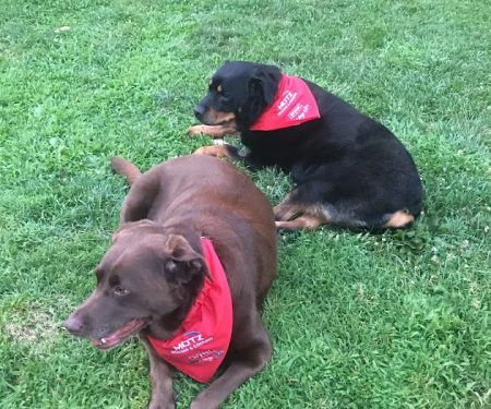 Motz Heating & Cooling, LLC.