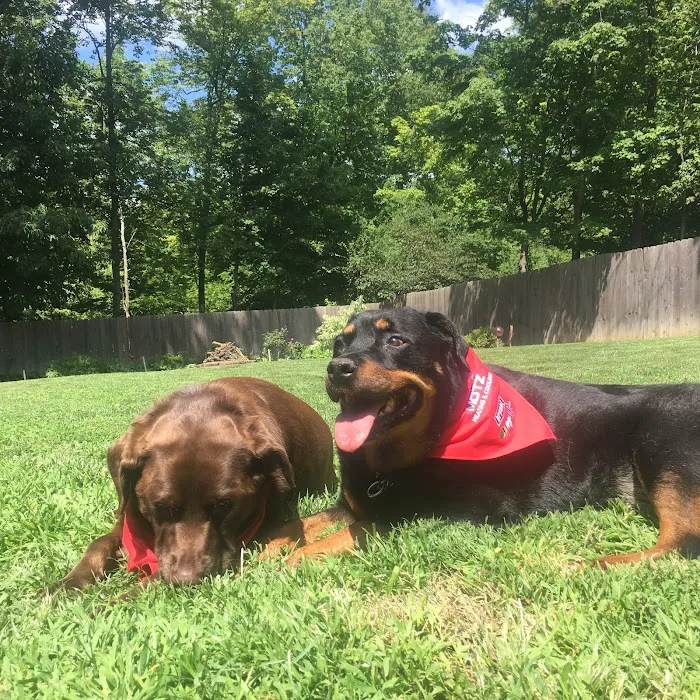 Motz Heating & Cooling, LLC. Picture 7