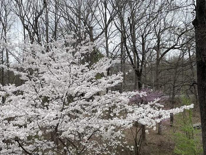 Airworks Heating & Cooling Picture 7