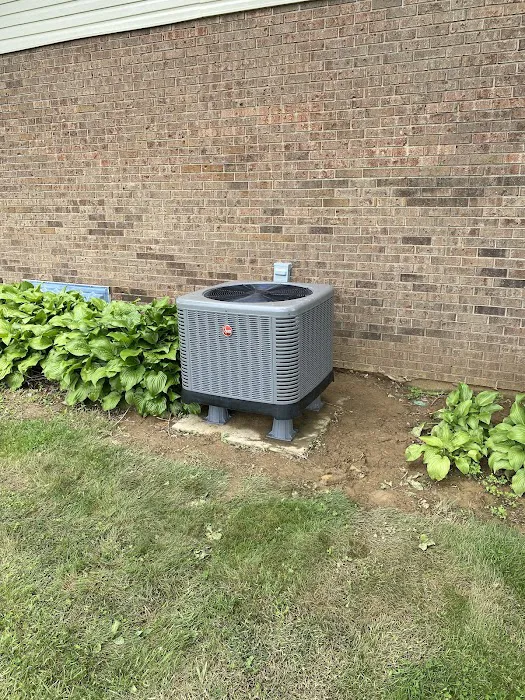 Kingdom Air Picture 3