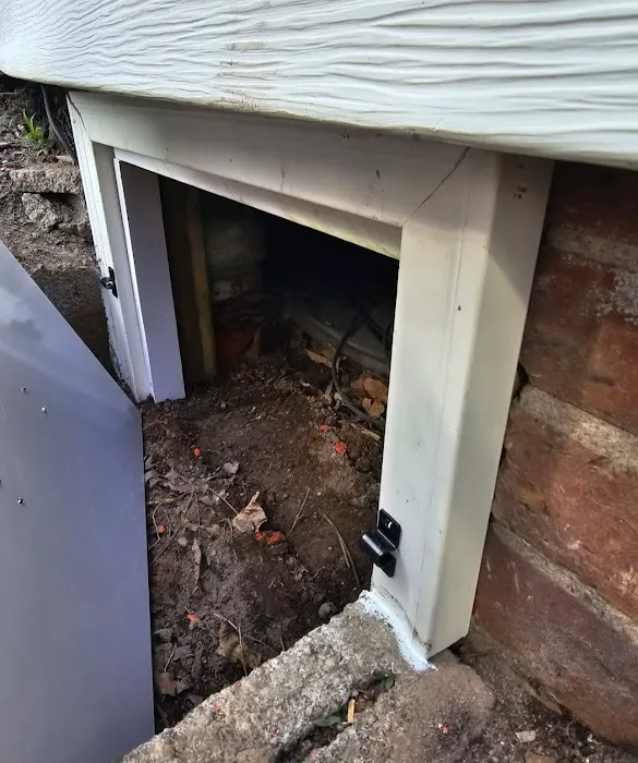 Bell Cow Services Picture 4