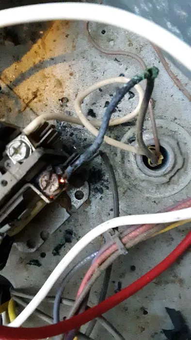 Bell Cow Services Picture 2