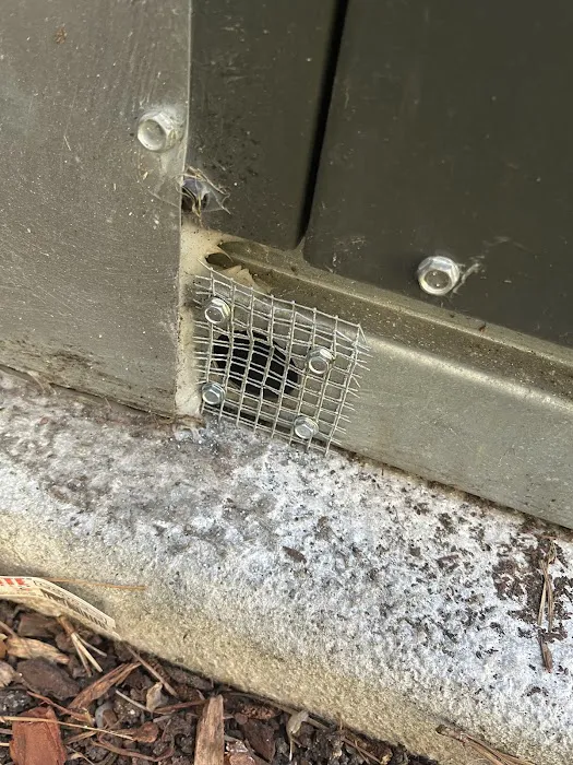 Bell Cow Services Picture 1