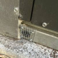 Bell Cow Services ico