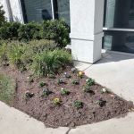 Comfort Systems of Virginia, Inc.