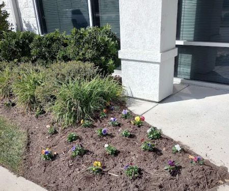 Comfort Systems of Virginia, Inc.