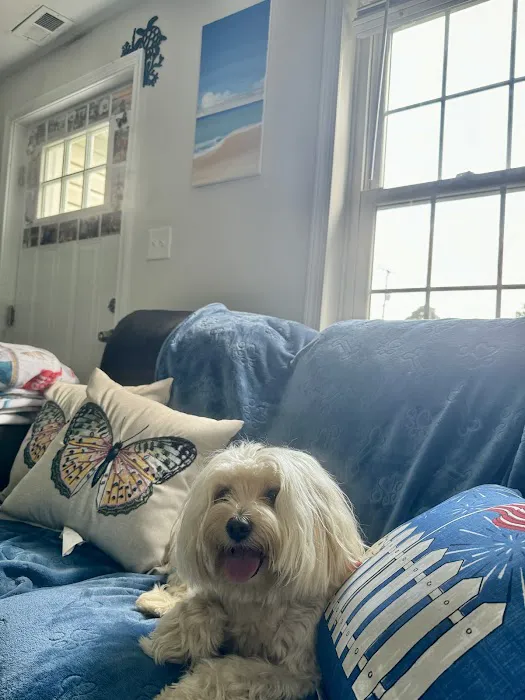 Comfort Systems of Virginia, Inc. Picture 6