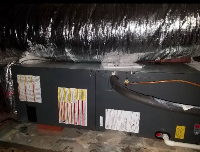 7 Cities Air Picture 6