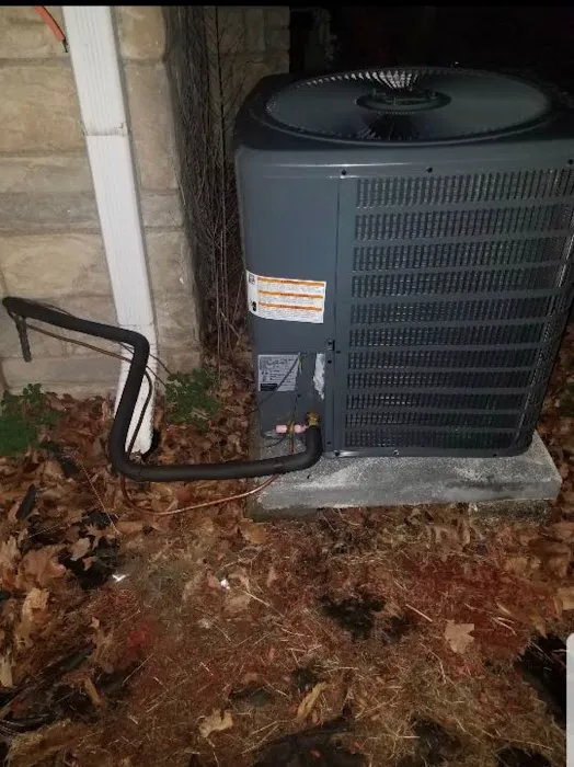 7 Cities Air Picture 2