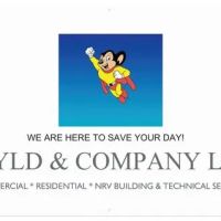 Wyld & Company LLC ico