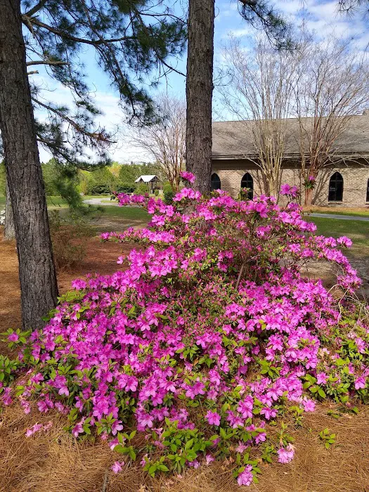 Mission Air Picture 9