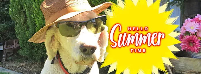 Climatrol, Inc. Picture 3