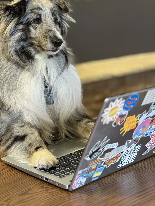 David White Services Picture 7