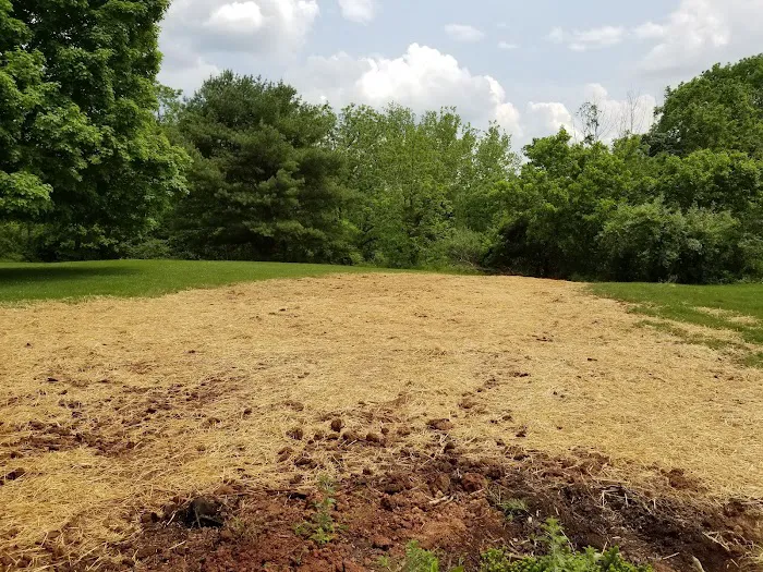 Home Solutions Picture 6