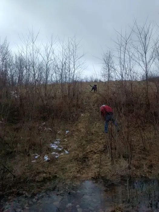 Zanesville Heating & Air Conditioning Picture 2