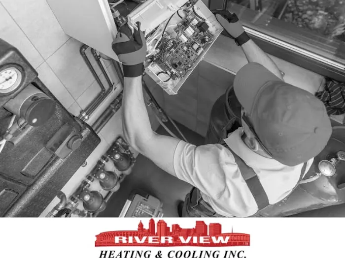 River View Inc. Picture 4