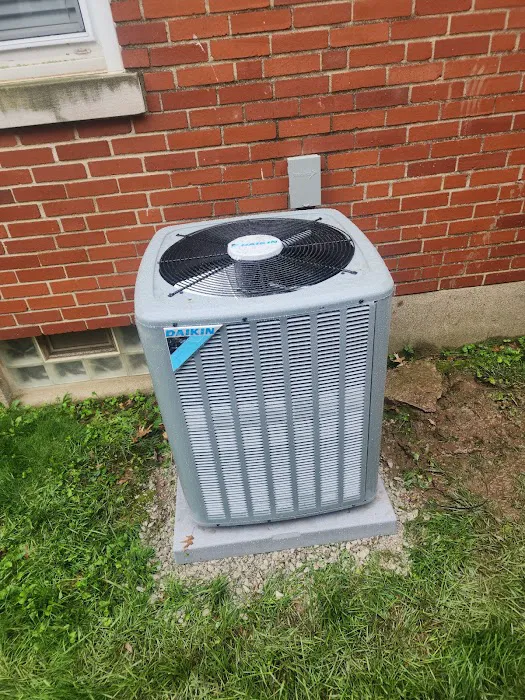 Apollo Home Picture 5